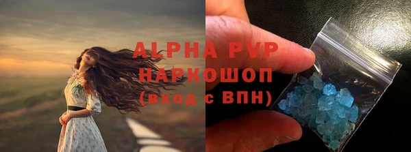 индика Белоозёрский