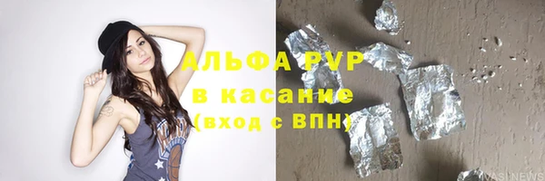 индика Белоозёрский