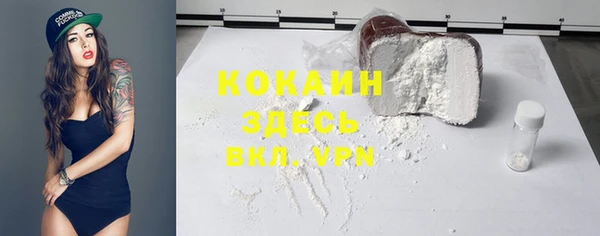 индика Богородск