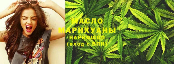 индика Богородск