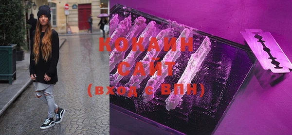 спиды Богданович