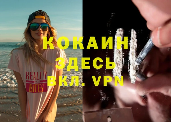 ECSTASY Белокуриха