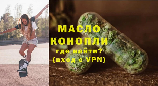 индика Богородск