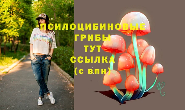 амфетамин Богородицк