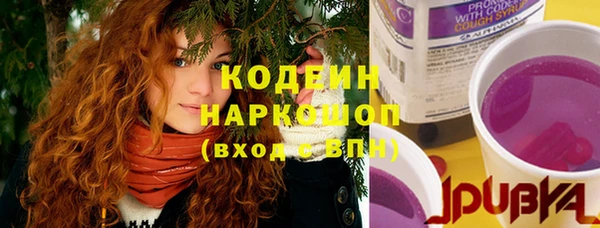ECSTASY Белокуриха