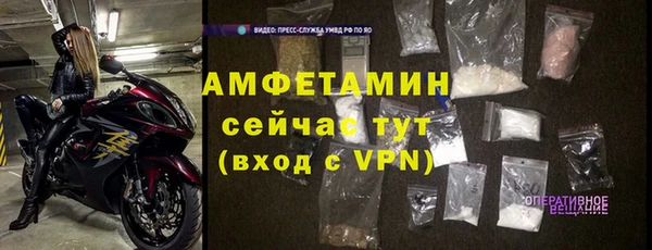 индика Богородск