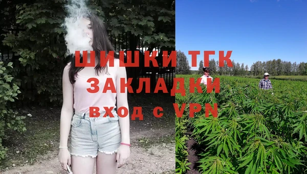 индика Белоозёрский