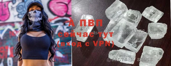 индика Богородск