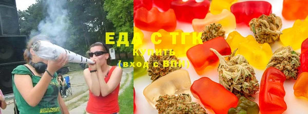 индика Богородск