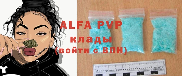индика Белоозёрский